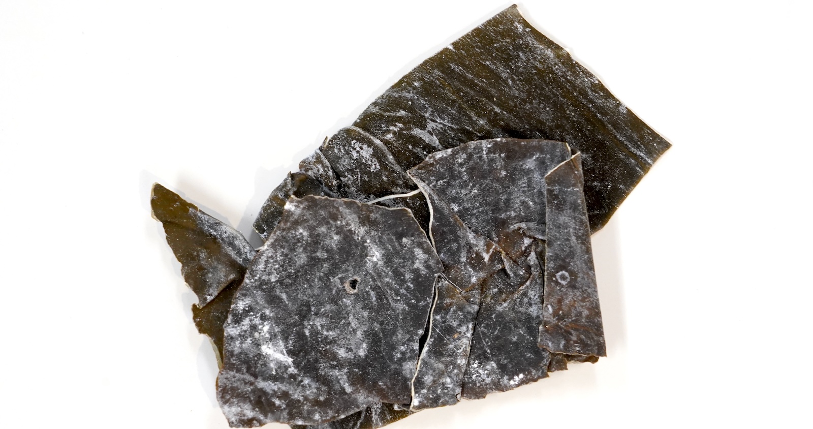 Two pieces of dried kombu on a white background