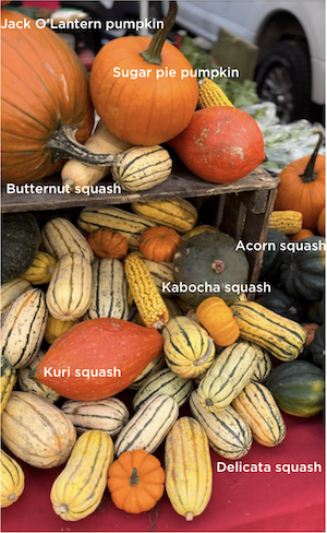 Various types of pumpkins and squash