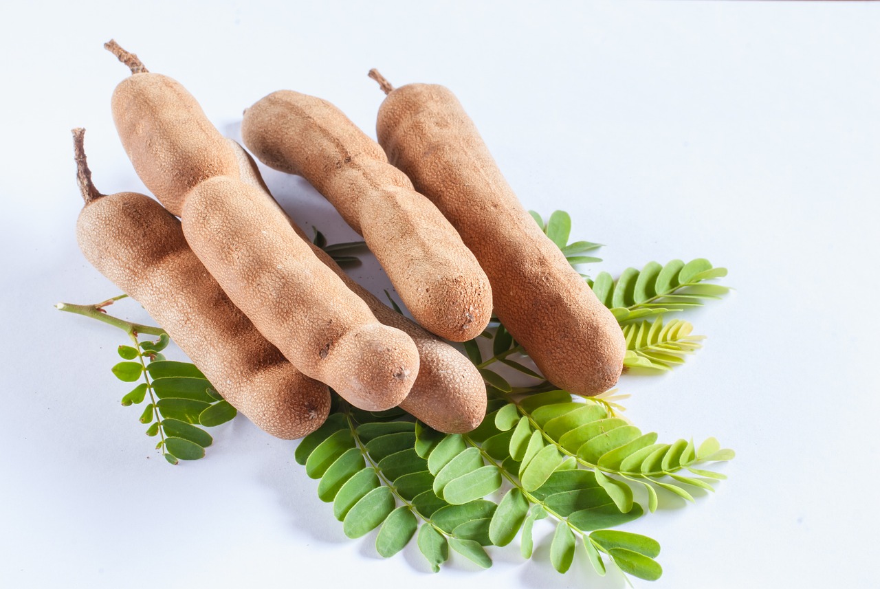 Five tamarind pods nestled on a bed of greenery against white background.