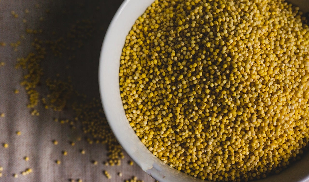 Uncooked yellow millet grains in a white bowl