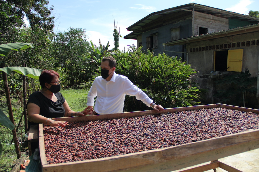 Drying cocoa beans with microlot producer Sabita Mykoo in Rio Claro, Trinidad