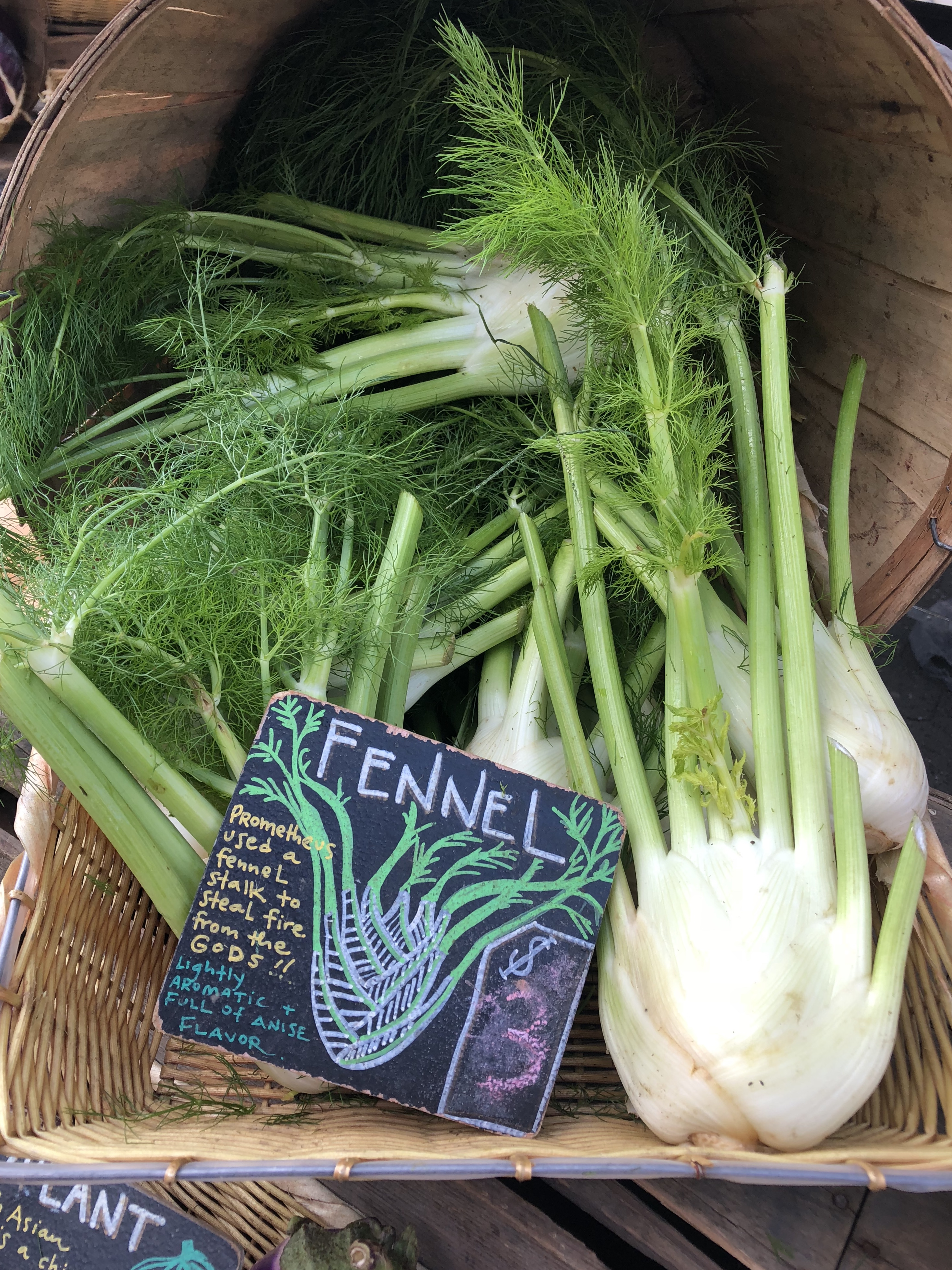 Find fennel at the farmers market.