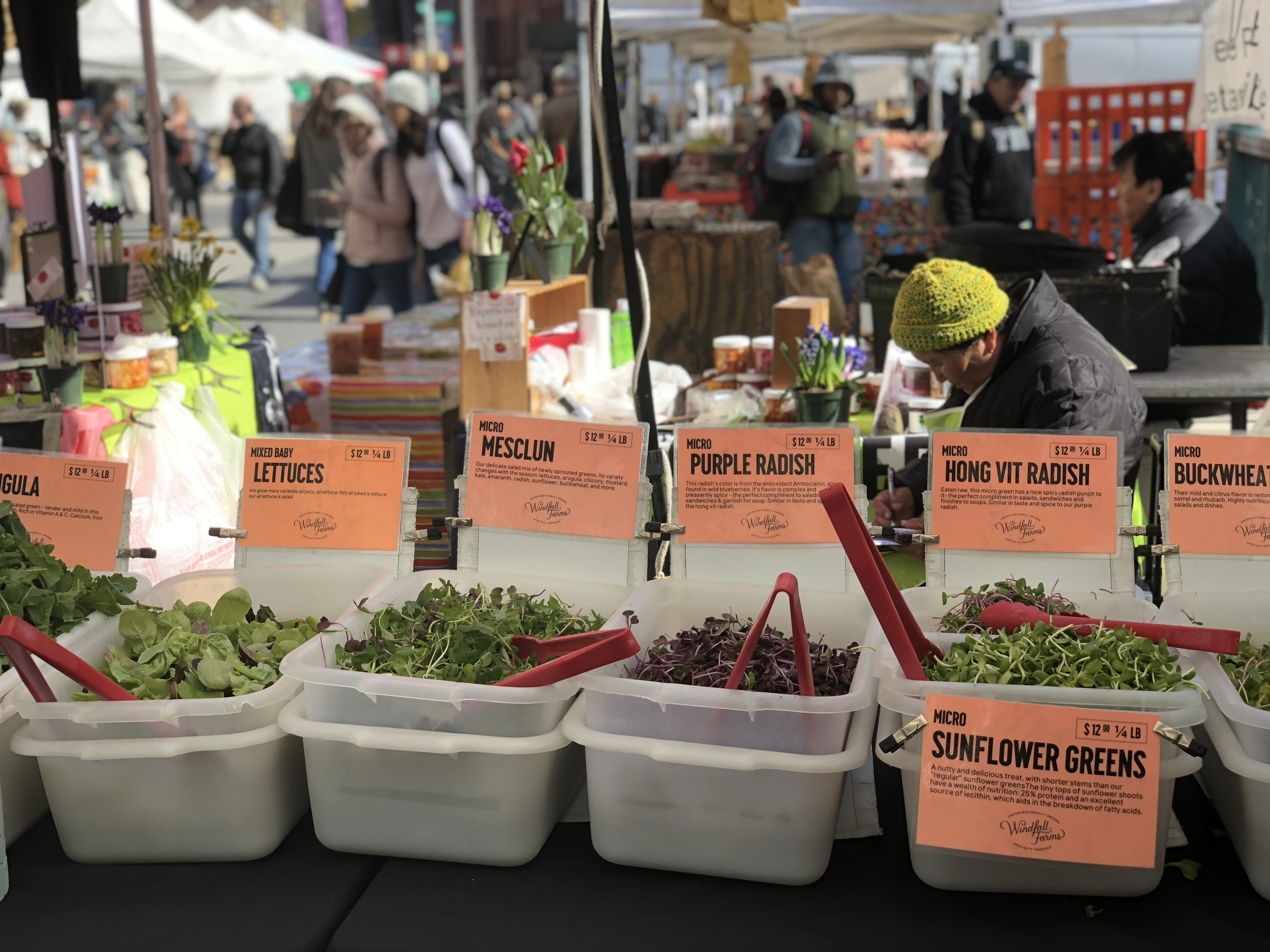 Windfall Farms' stand at the Union Square Greenmarket