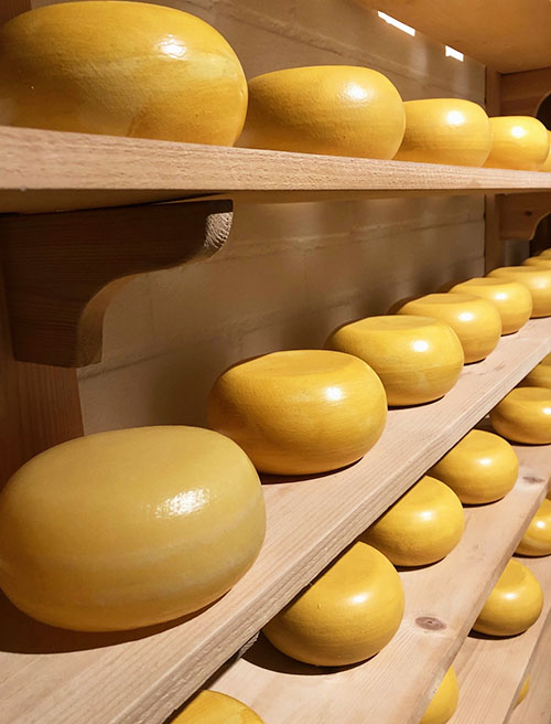 The Science Behind Why Cheese Is Created In A Wheel Form