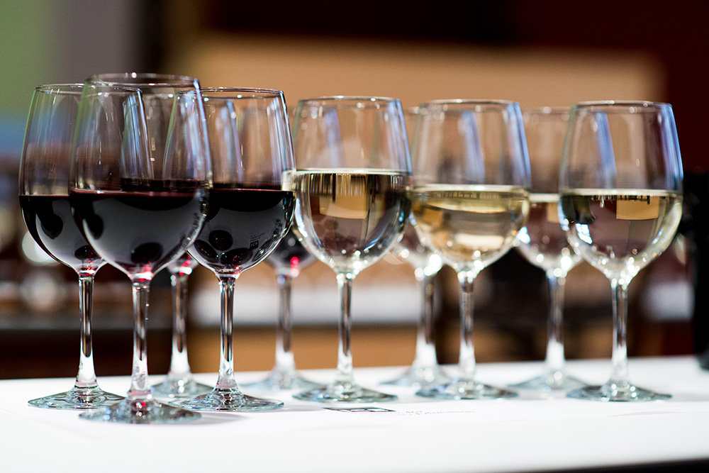 wine tasting during a recreational wine class with professional sommelier 