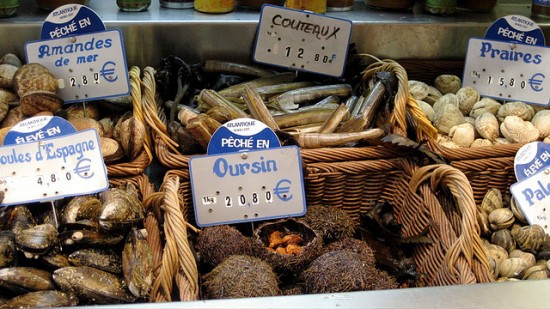 Fresh seafood at a French market