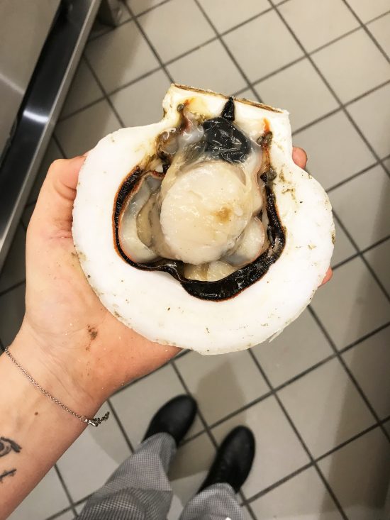Fresh Sea Scallop prepared by an ICE culinary student