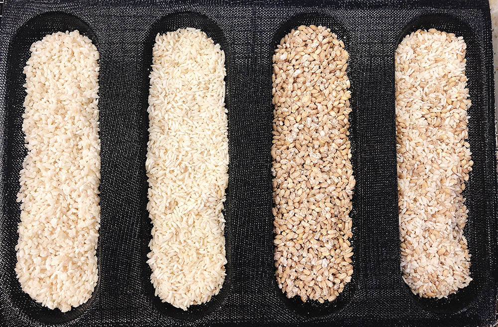Rice grains from a fermentation experiment