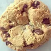 Are Chocolate Chip Cookies Worth Their Salt? – Work and Workings of a Nerd