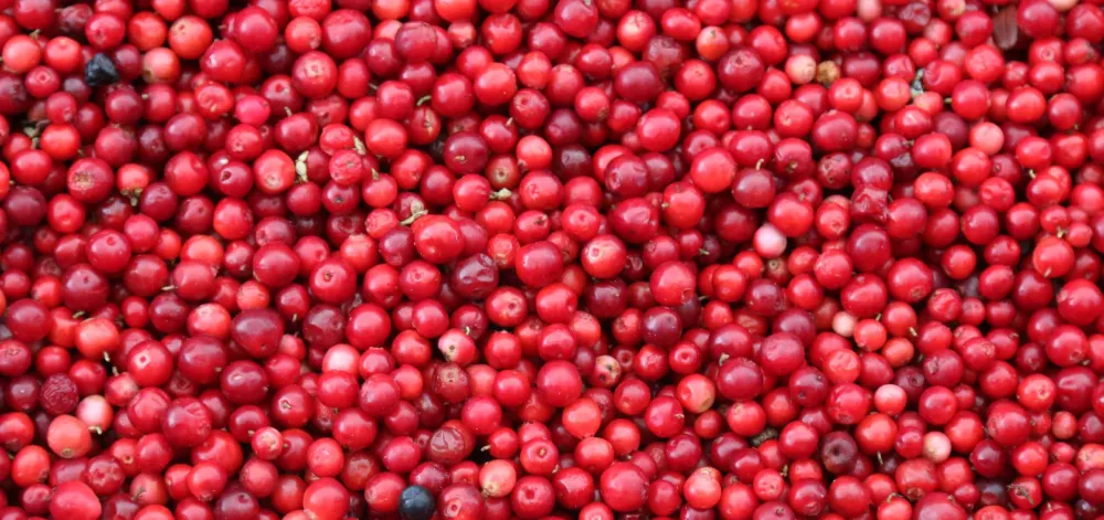 Cranberries 