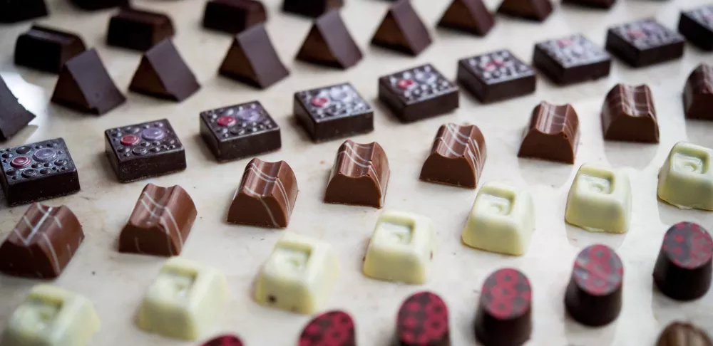 chocolates and truffles made in chocolate lab at the institute of culinary education