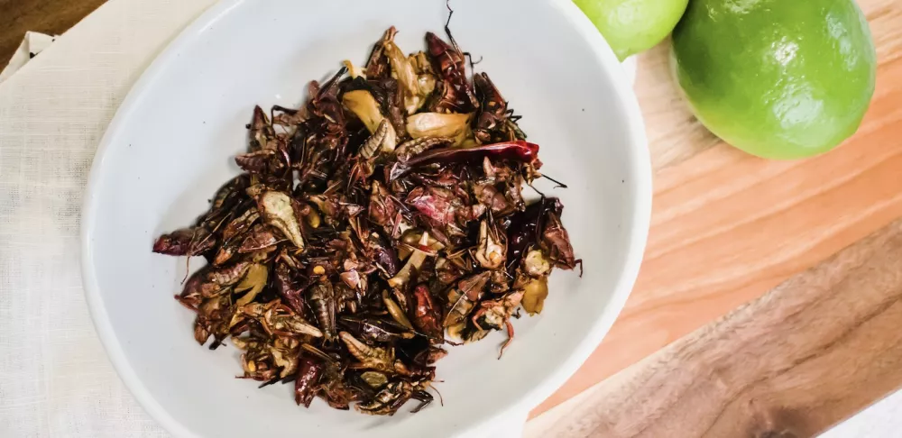 a bowl of chapulines