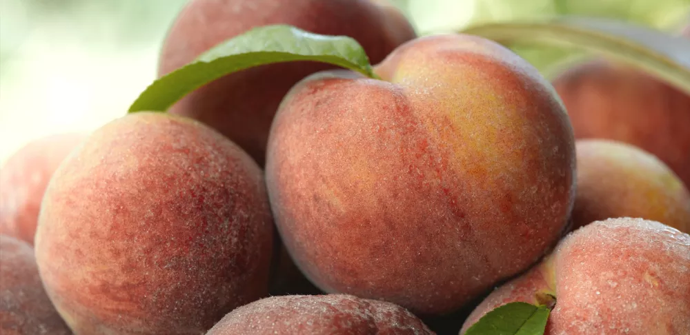 Georgia peaches