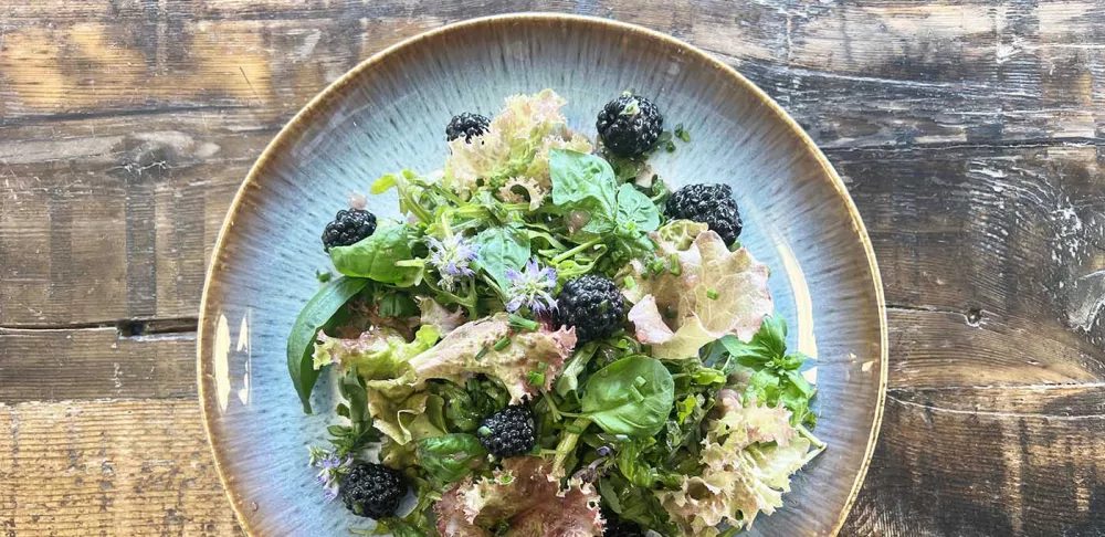 Blackberry basil salad on a plate.