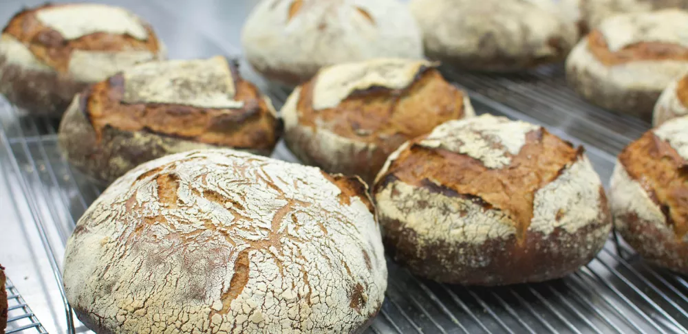 Bread takes time to bake.