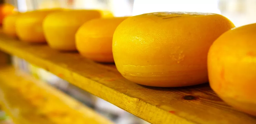 Wheels of orange cheese sit on a wooden shelf