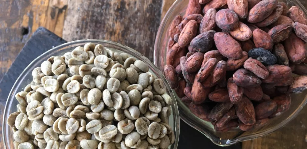 Coffee and cacao beans