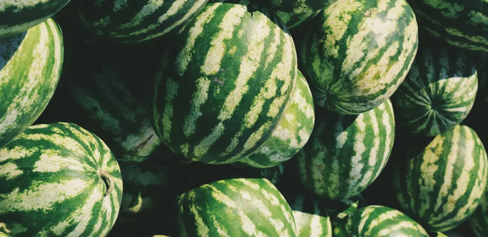 watermelons Photo by Dmitry Bayer on Unsplash