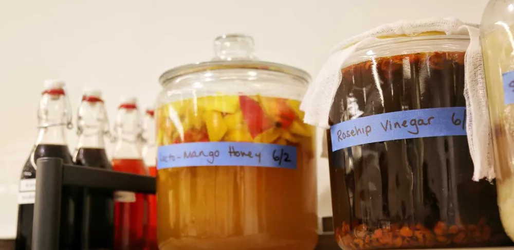 ferments on a shelf