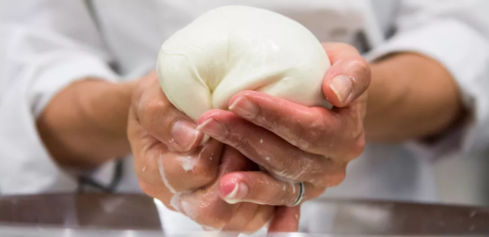 A ball of fresh mozzarella.