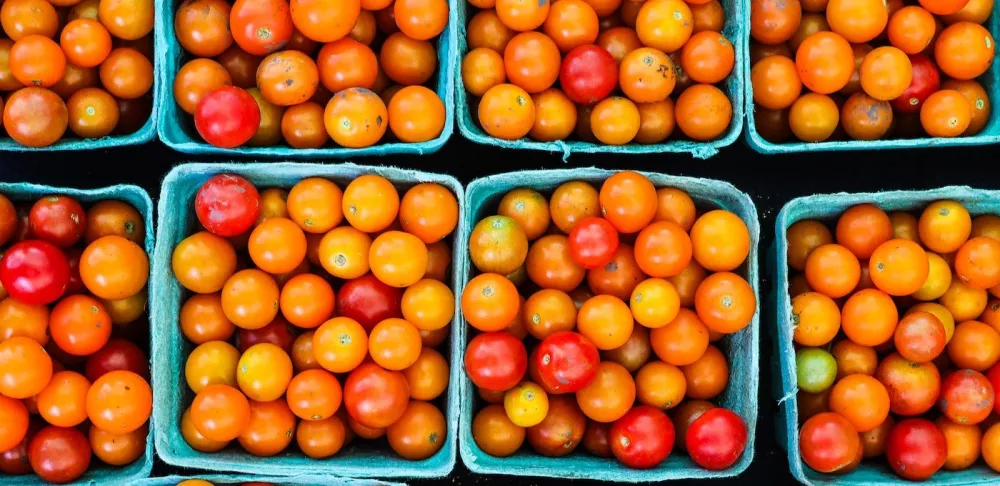 Cartons of cherry tomatoes in rows