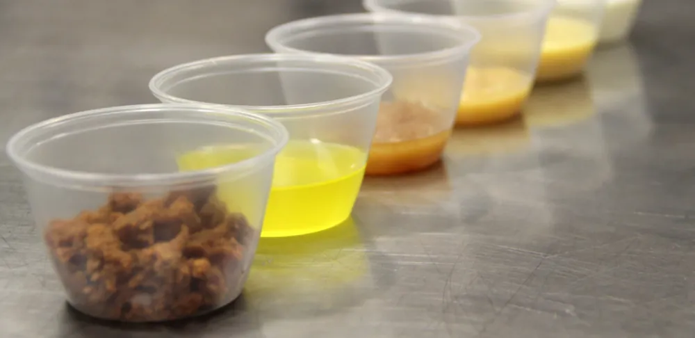 Fermentation over different periods of time