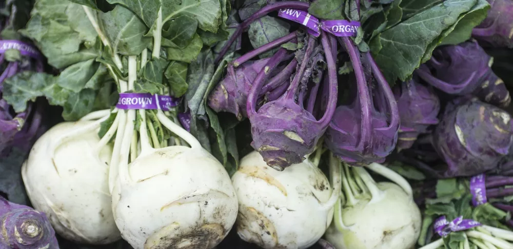 Organic kohlrabi at the farmers market