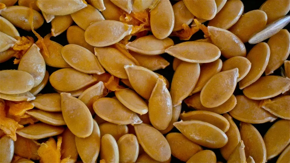 Pumpkin seed