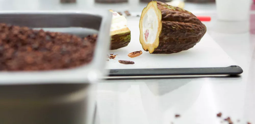 raw cacao on a cutting board in NYC kitchen