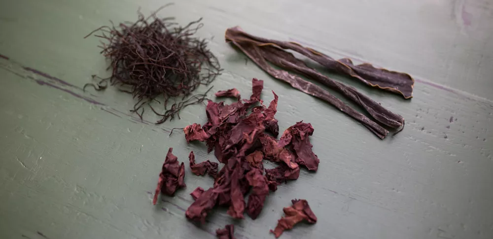 Arame and other common sea vegetables.