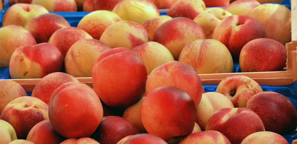 summer-grilling-peaches