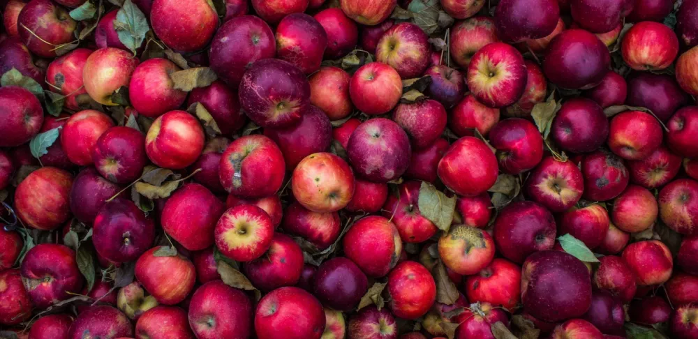 apples Photo by sydney Rae on Unsplash