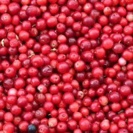 cranberries