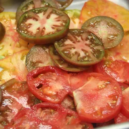 tomatoes