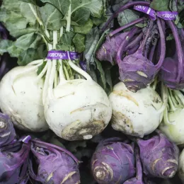 Organic kohlrabi at the farmers market