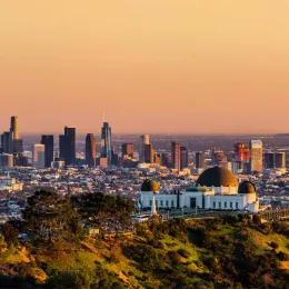 The Los Angeles skyline.