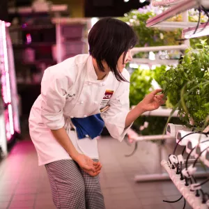 ICE Culinary student Tina Ye in the hydroponic garden at the school