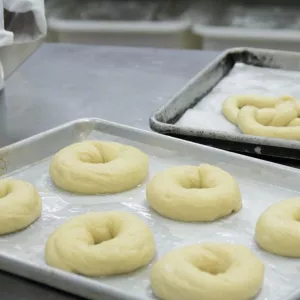 Unbaked bagels formed out of dough sit on a lined baking sheet