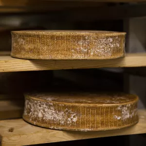 Cheese aging in a cheese cave.