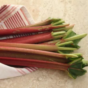 rhubarb stalks