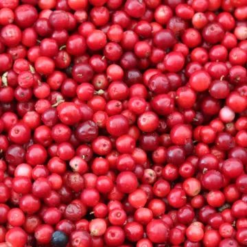 cranberries