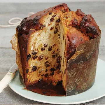 Panettone 