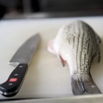 Fish fabrication in culinary school