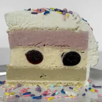 Slice of ice cream cake on a plate with sprinkles