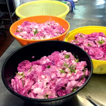 rose petals in a bowl