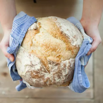 a round loaf of bread