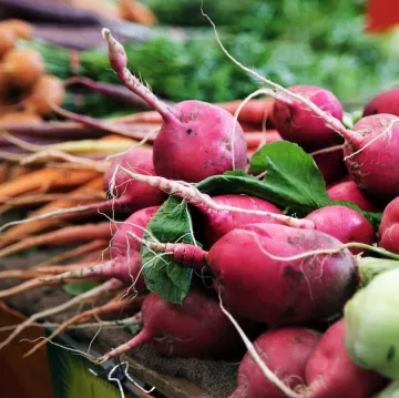 fresh vegetables displayed at greenmarket