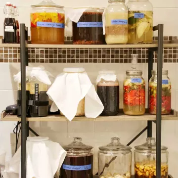 ferments on shelves