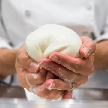 A ball of fresh mozzarella.