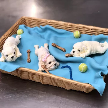 Chef Penny makes cute dogs out of ice cream.